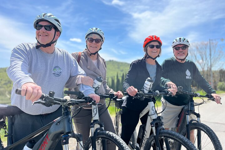 Discovering Chianti, e-bike tour - daily experience - Photo 1 of 10