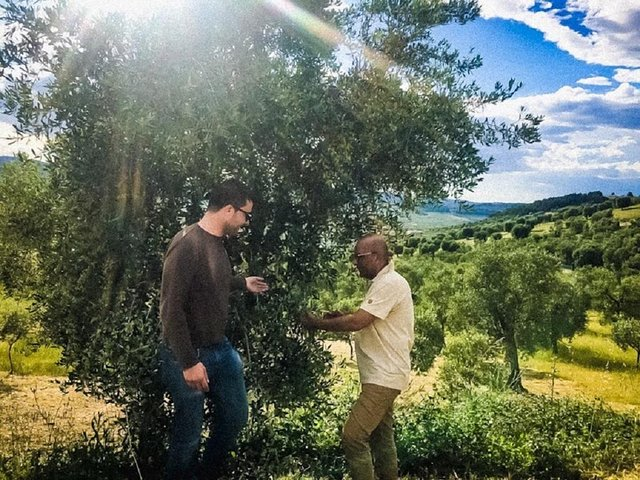 Discovering extra virgin olive oil - Photo 1 of 7