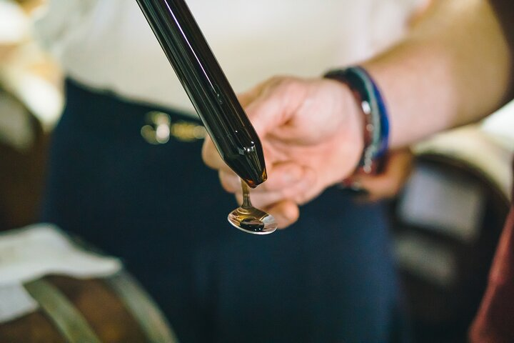 Tour with a tasting of the authentic Traditional Balsamic vinegar - Photo 1 of 7