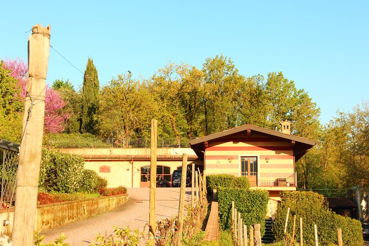 Discovering the wines of Franciacorta - Photo 1 of 3