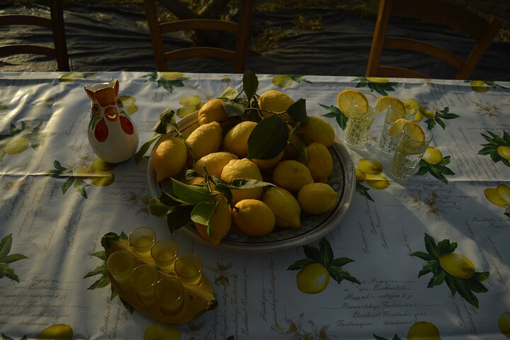 Discovery Tour of Sorrento Lemon in Massa Lubrense - Photo 1 of 18