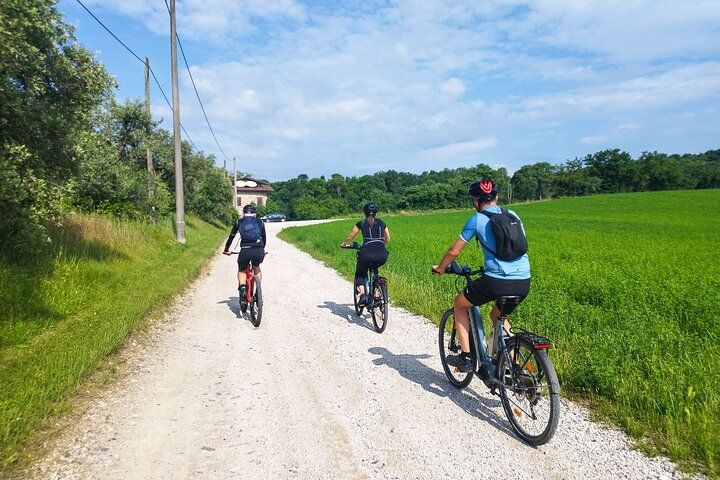 E-Bike tour and Wine tasting from Desenzano Inland - Photo 1 of 14