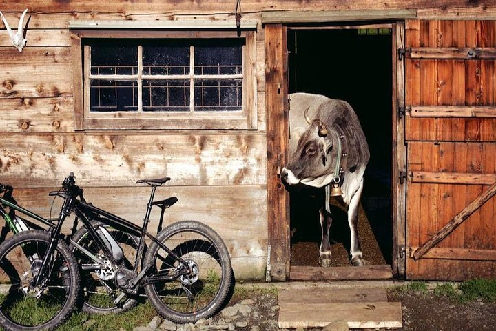E-Bike Food and Wine Tour in the Sorrento Peninsula - Photo 1 of 12