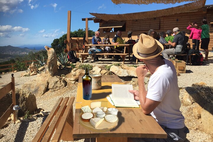 Authentic Elba Farm Experience with Dinner, Wine & Sea Views - Photo 1 of 25