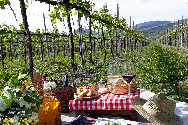 Where Your Story Begins - A Sicilian Ancestry Tour - Photo 1 of 10
