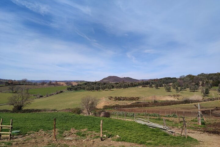 Typical rural landscape of Maremma