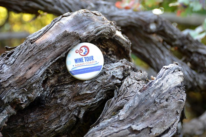 Family or friends Transportation Service for the Experiences - Photo 1 of 7