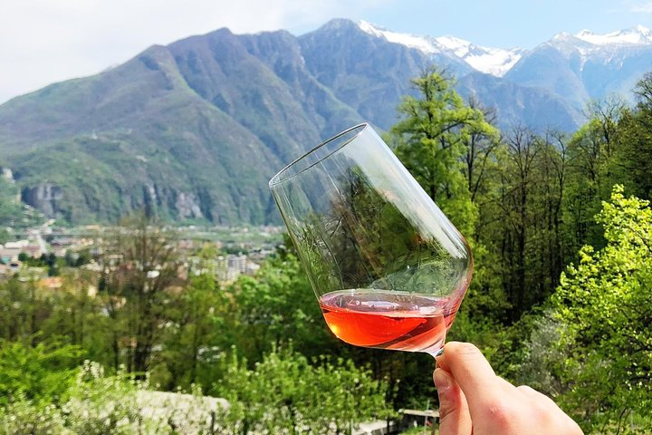 Family tasting - A little tasting - Photo 1 of 13