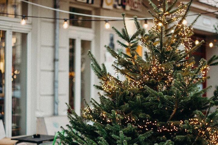 Festive Journey in Sirmione Christmas Private Walking Tour - Photo 1 of 7