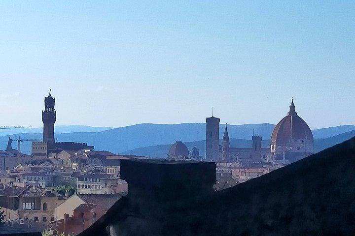 The tower of Palazzo Vecchio and the Dome of Brunelleschi