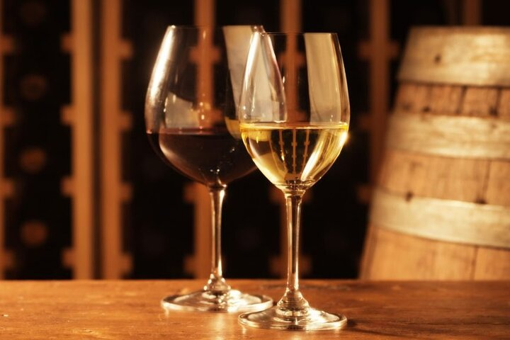 Food and Wine Tasting in Vino Veritas - Photo 1 of 6