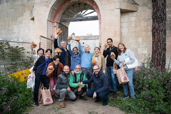 Food and Wine Tour between the Patriarchs Olives and the Oil Temples - Photo 1 of 25