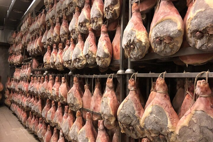 Modena Food:Prosciutto,Parmigiano,Balsamic,Wine,Lunch,Transport - Photo 1 of 8