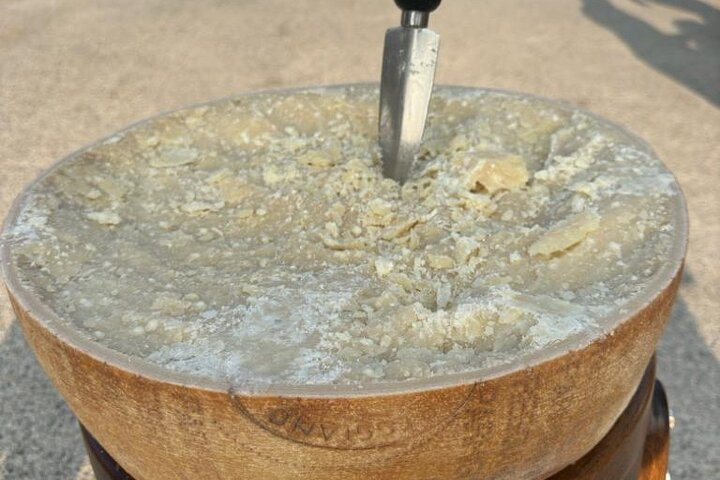 From Bologna: Parmesan Cheese & Balsamic Vinegar Tour+Lunch - Photo 1 of 6