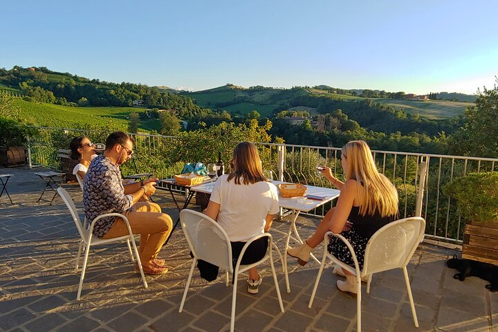 Bologna Hills: Organic DOCG Wine Tasting & Winery Tour - Photo 1 of 23