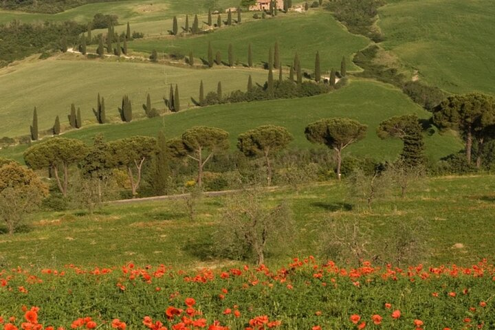  From Florence to Tuscany Winerys - Photo 1 of 8