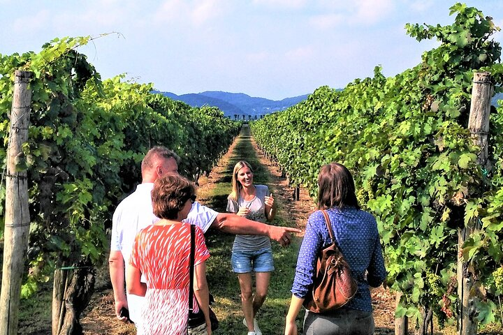 From Venice: Wine Tour in the Euganean Hills - Photo 1 of 25