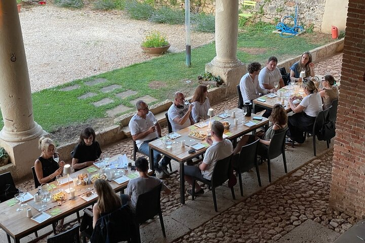 From Verona: the prosecco wine tour