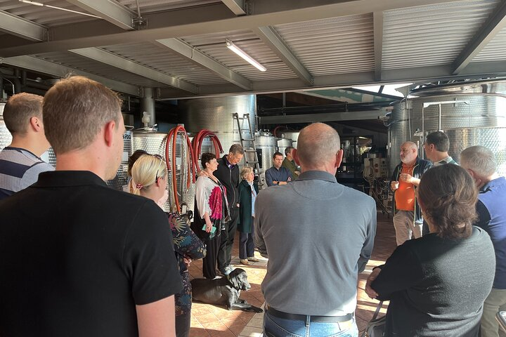 Private Piedmont and Barolo wine tour - Photo 1 of 6