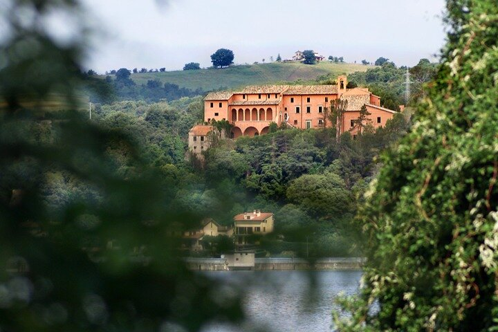 Full day experience | Tasting & art among the Orvieto vineyards - Photo 1 of 8