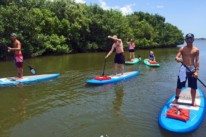 Full-Day Paddle Board Rental in Naples, Florida  - Photo 1 of 4