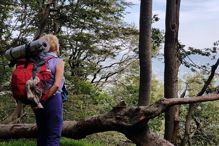 Full-Day Private Hike in Foreste Casentinesi National Park - Photo 1 of 5