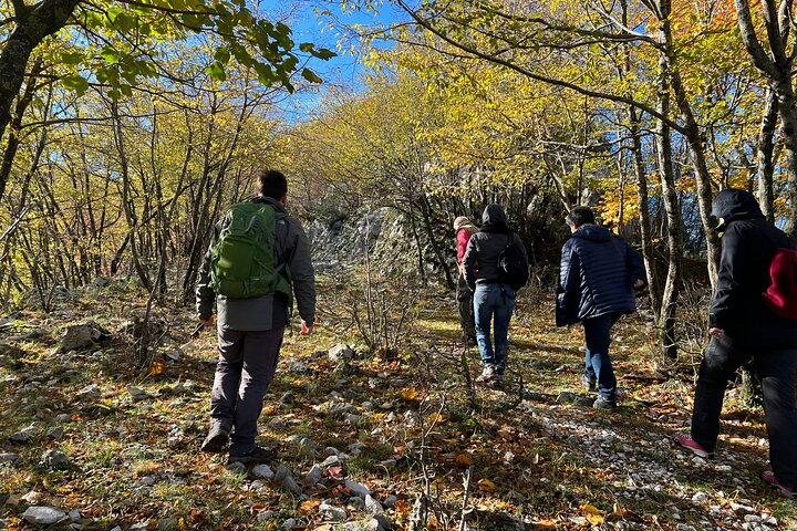 Full-Day Private Tour Truffles Lovers Experience with Lunch - Photo 1 of 25
