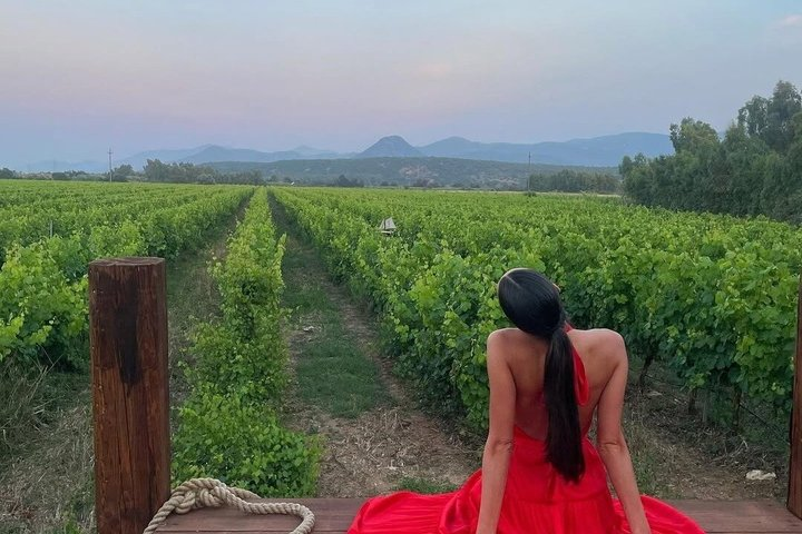 Sardinia: Vineyard Walk & 3-Wine Tasting with Local Food Pairing - Photo 1 of 19