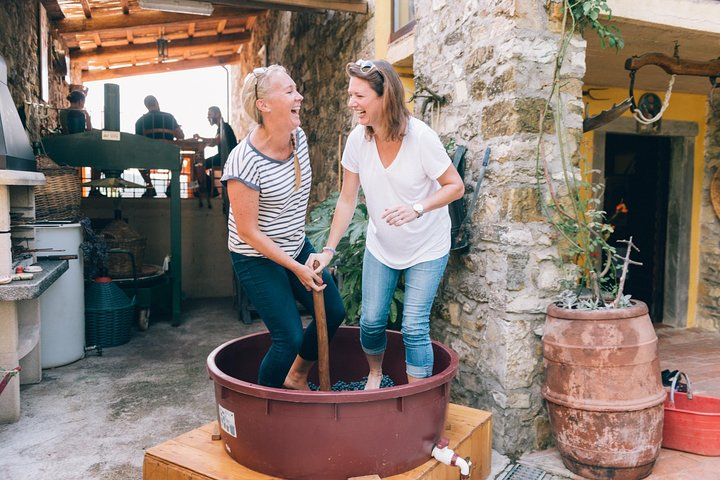 Private Grape stomping at Chianti Farmhouse - Photo 1 of 12