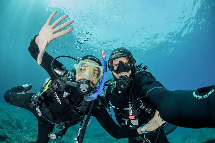 Discover Sorrento Underwater: 5 - Hour PADI Morning Try Dive - Photo 1 of 14