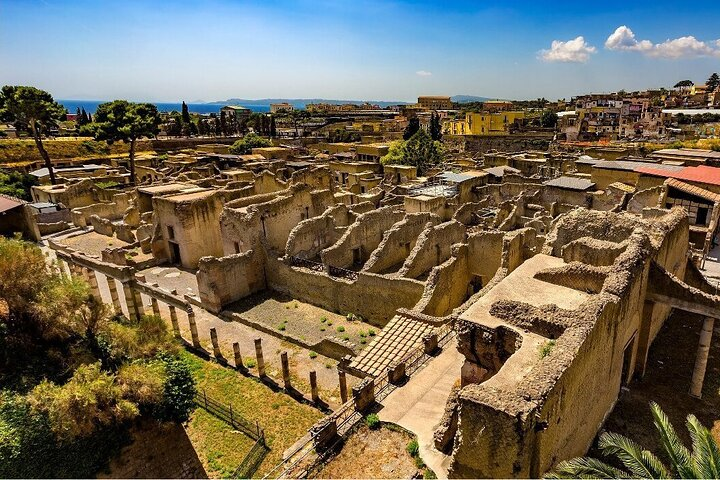 From Naples: Herculaneum Guided Tour & Entrance Ticket Included  - Photo 1 of 6