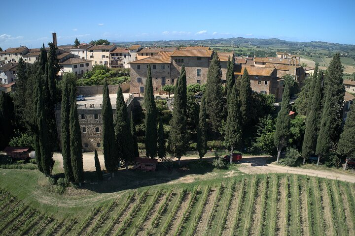 Guided tour with wine tasting and local organic products - Photo 1 of 11