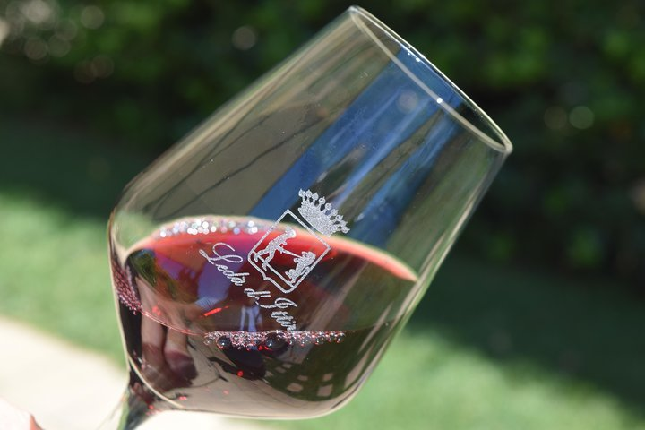 Glass of Cagnulari Wine