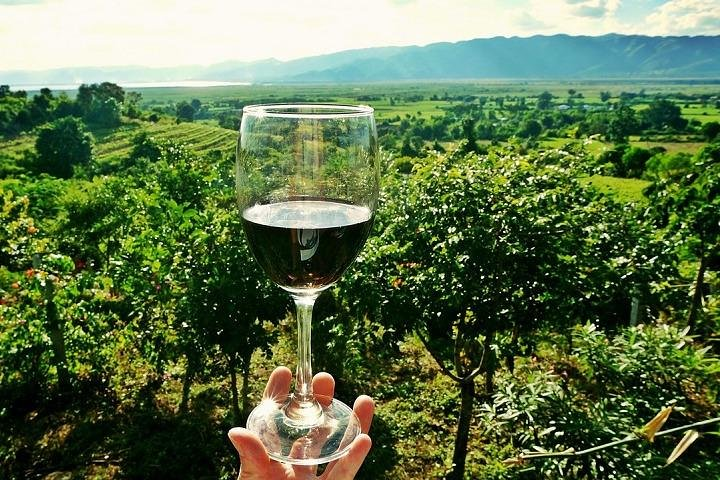 Half-Day Chianti Wine and Olive Oil Tour from Viareggio - Photo 1 of 7