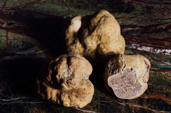 Half day tour, with truffle based lunch: Exploring the Duke's lands - Photo 1 of 5