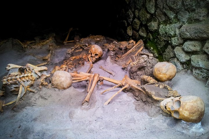 Some of the skeleton found in Herculaneum