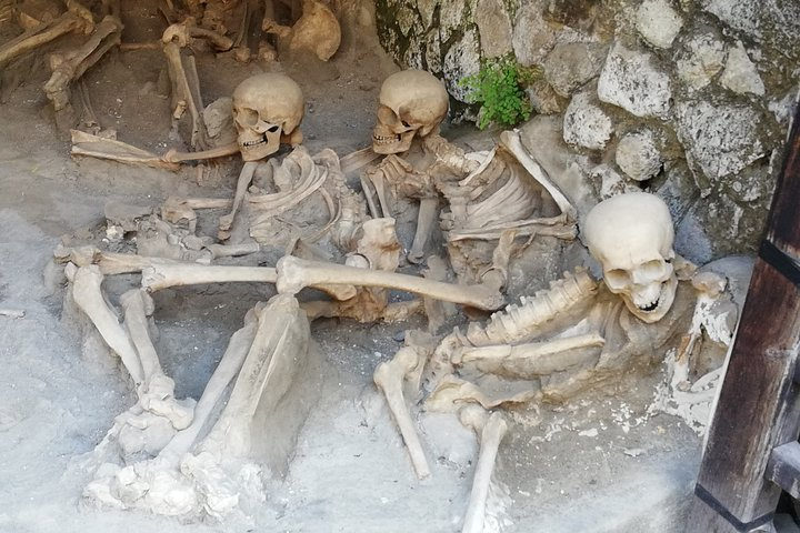 The skeletons of the beach