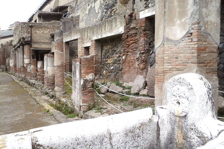 Herculanium guided tour - Photo 1 of 9