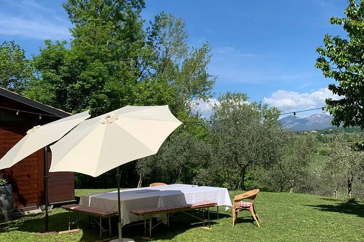 Premium Private Prosecco Hills Tour - 2 Wineries. Private tour. - Photo 1 of 17