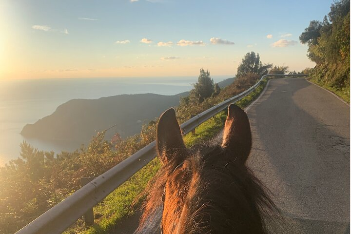 Horse ride on the coast of Monterosso al Mare Cinque Terre - Photo 1 of 14