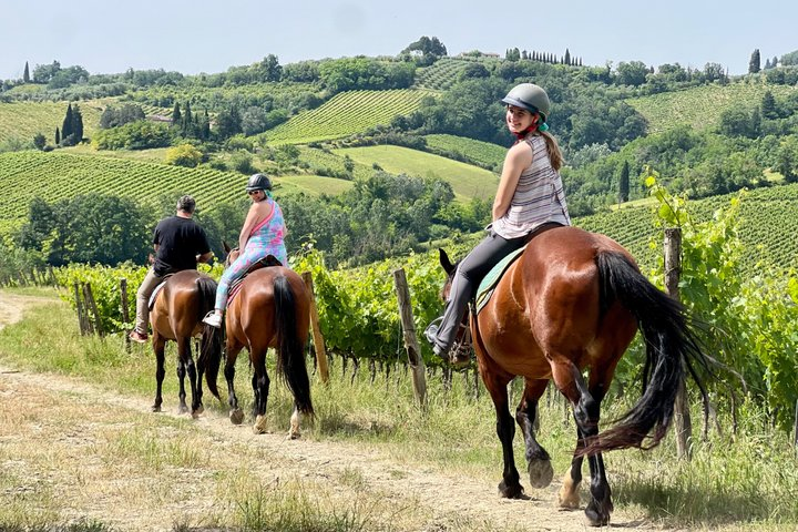 Horseback Ride, visit S.Gimignano, Lunch wine Tasting &much more - Photo 1 of 25