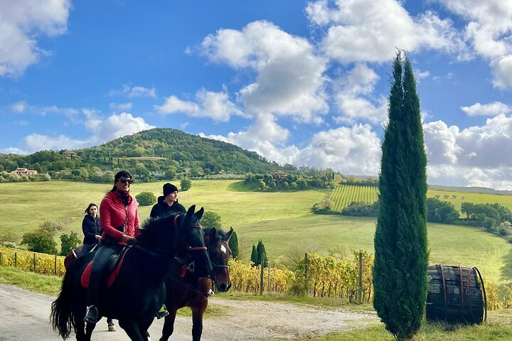 Horseback riding in Montepulciano Tuscany, lunch on the farm - Photo 1 of 8