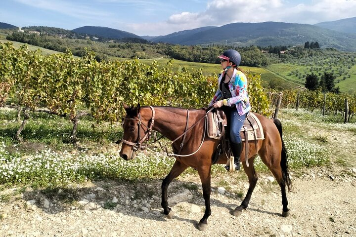Horseback riding & Wine Tasting and snack Lunch at noble Estate - Photo 1 of 25