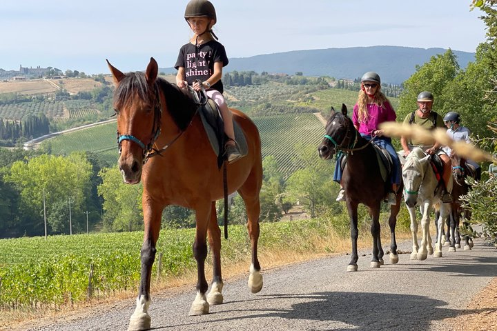 Small Group Horseback Riding Wine Tour, San Gimignano, Lunch - Photo 1 of 25