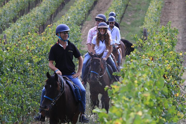 Saddle up for a unique journey through Tuscany’s wine country where rolling vineyards meet the joy of horseback riding and unforgettable local flavors await discovery.