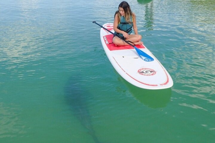 Kayak and SUP Rentals - Big Hickory Island - Fort Myers Beach, FL - Photo 1 of 6