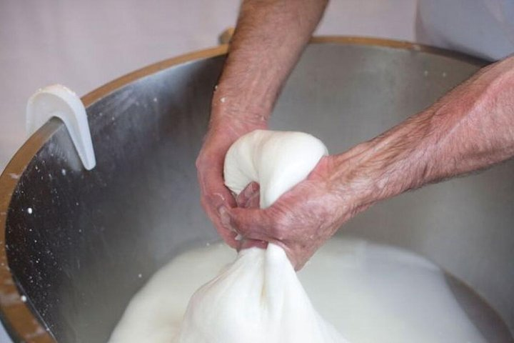 Knowledge and Flavors - Photo 1 of 6