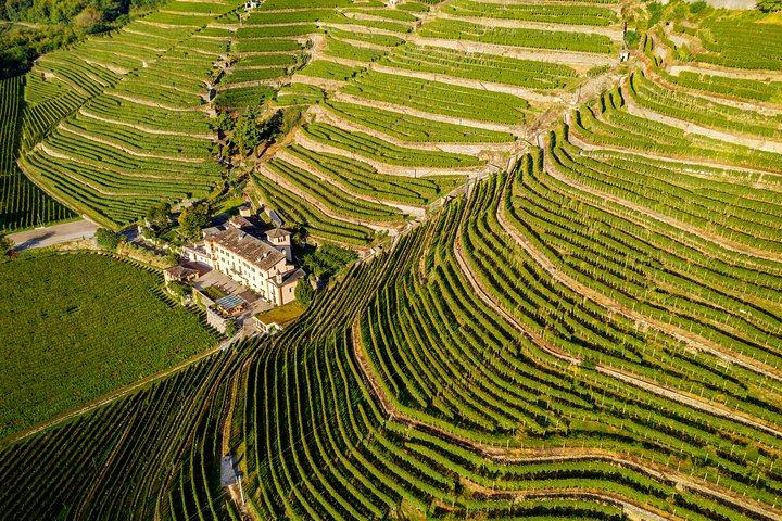 Explore stunning vineyard terraces adorned with UNESCO-protected dry-stone walls complemented by delightful local cuisine in the picturesque Lake Como region a true feast for the senses.