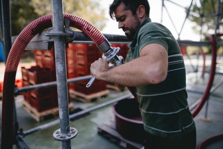 Wine experience in a boutique winery