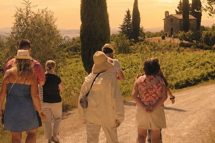 Siena: Chianti Sunset Tour with Dinner & Wine Tasting - Photo 1 of 25